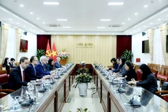 Panorama de la reunión (Foto: Ministerio de Relaciones Exteriores de Vietnam)