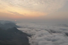 Turistas cazan nubes en la meseta vietnamita de Moc Chau (Foto: VNA)