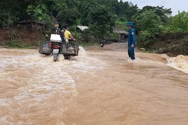 Exhortan en Vietnam a controlar y mitigar consecuencias de inundaciones 