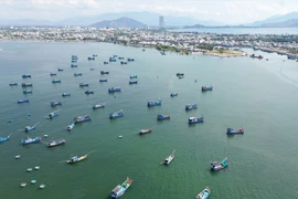 Vietnam por el desarrollo sostenible de la economía marítima e insular