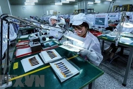 Anuncian alentador índice de confianza empresarial europeo en Vietnam