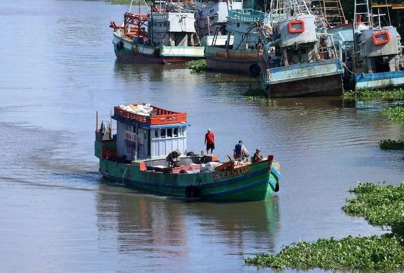 Barcos de pescadores. (Fuente: VNA)