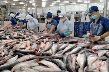 Buscan construir marca de productos de pangasius en el delta del Mekong