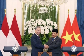 El secretario general del Partido Comunista de Vietnam, To Lam (izquierda), y el presidente indonesio, Prabowo Subianto (Foto: VNA)