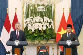 El secretario general del Partido Comunista de Vietnam, To Lam (izquierda), y el presidente indonesio y titular del Partido Movimiento Gran Indonesia (Gerindra), Prabowo Subianto, se reúnen con la prensa (Foto: VNA)