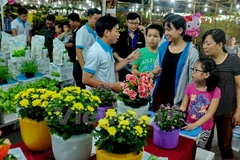 Abren en Ciudad Ho Chi Minh Festival de las Flores 