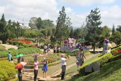 Entregan mapas turísticos gratuitos durante Festival de Flores de Da Lat