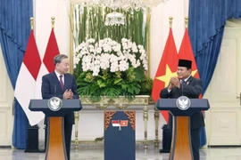 Vietnam e Indonesia elevan sus lazos a Asociación Estratégica Integral