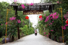 Thieng Lieng, una isla única en Ciudad Ho Chi Minh