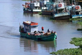 Barcos de pescadores. (Fuente: VNA)